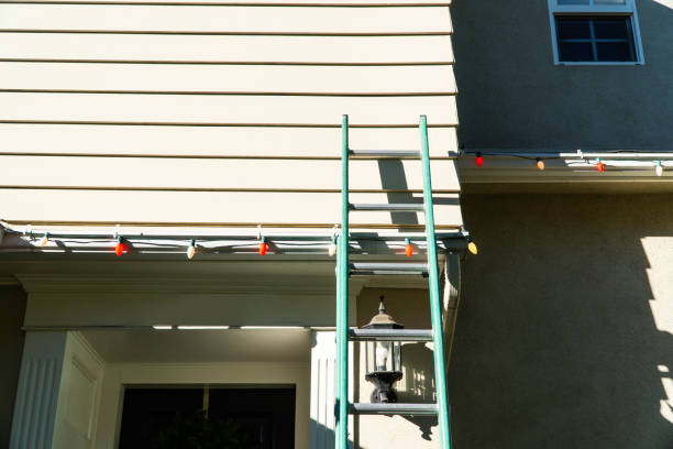 Best Insulated Siding Installation  in Alorton, IL